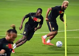 关于女足教练解读战术，球队备战高级别比赛的信息