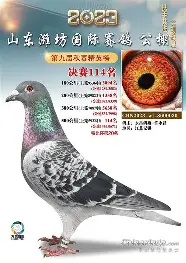 柏林赫塔客场获胜，施图特高质量传中助攻皮特森的简单介绍